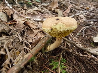 20100827 043.JPG